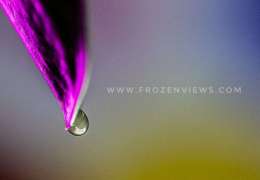 IMG_1825-01_copy_900x600