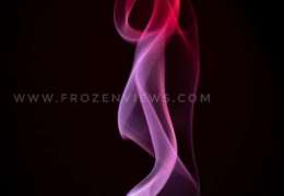 IMG_6459-01_copy_562x900